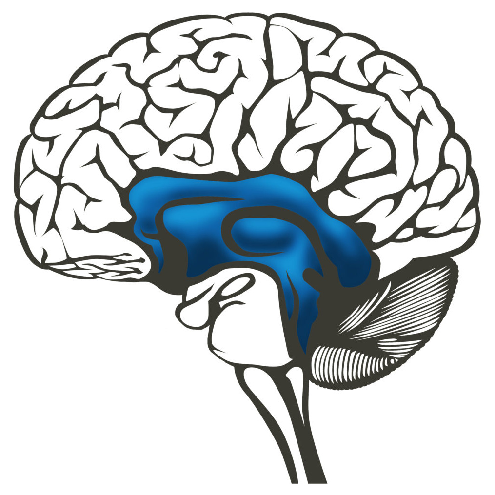 Brain Blue State