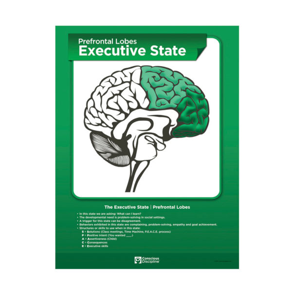 Brain State Poster Set - Executive State - Prefrontal Lobes - green poster