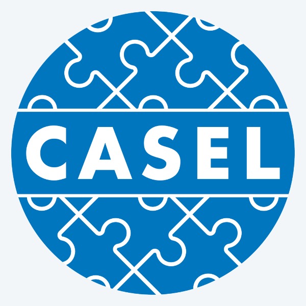 CASEL Logo Gray Background